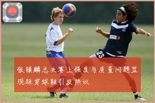 张镇麟总决赛上强度与质量问题显现踩穿球鞋引发热议